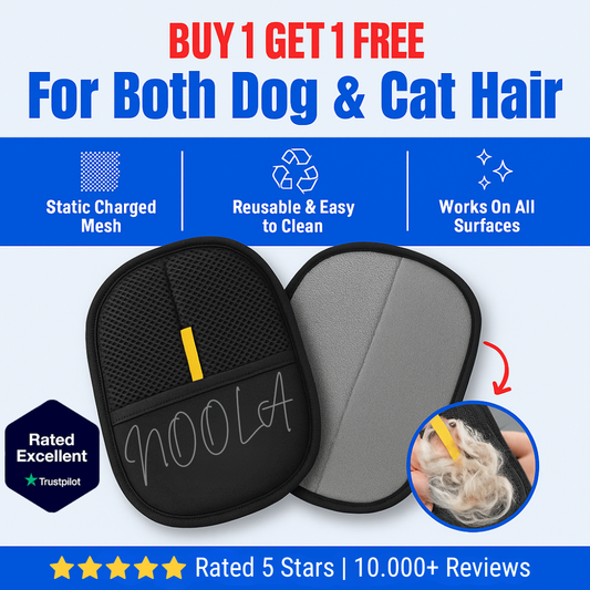 NoOil™ Anti-Cellulite Oil